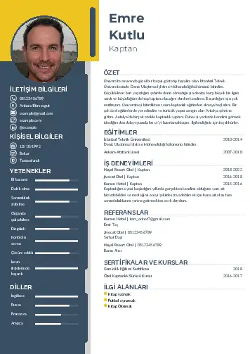 cv indir